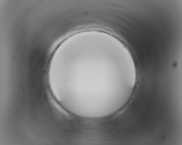 X0000113181518200910161319
