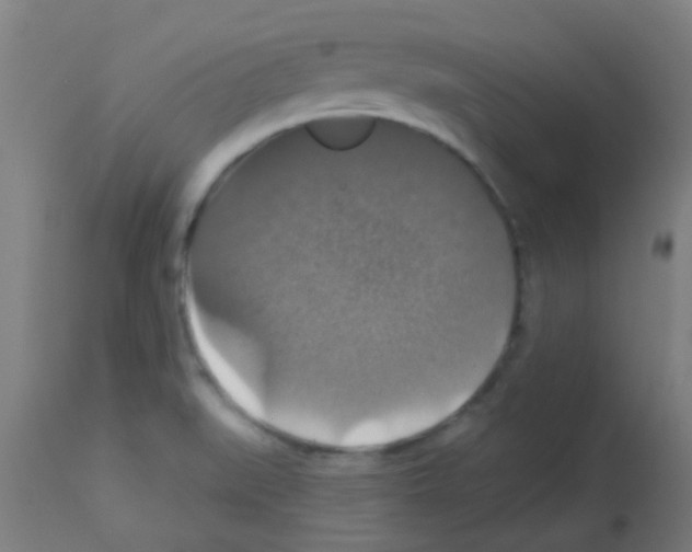 X0000113181519200910161319
