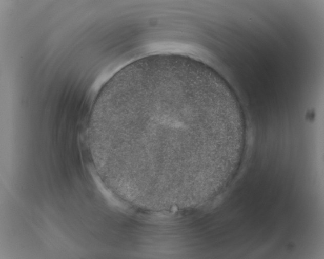 X0000113181521200910161319
