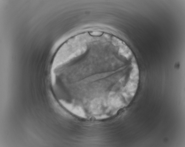 X0000113181522200910161319