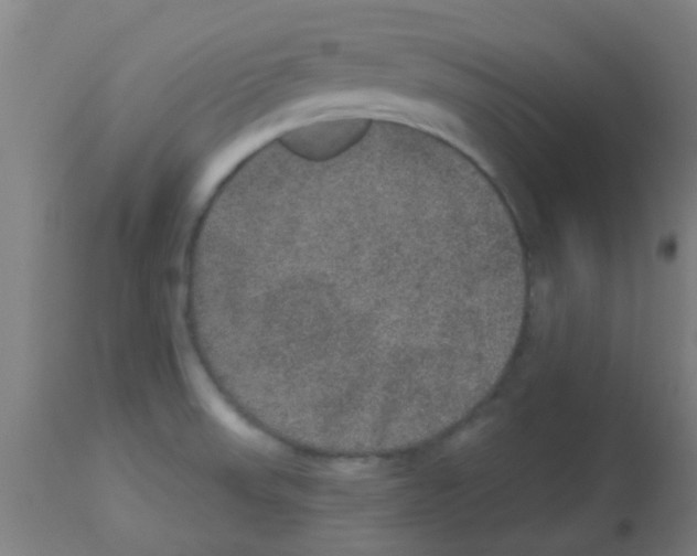 X0000113181523200910161319