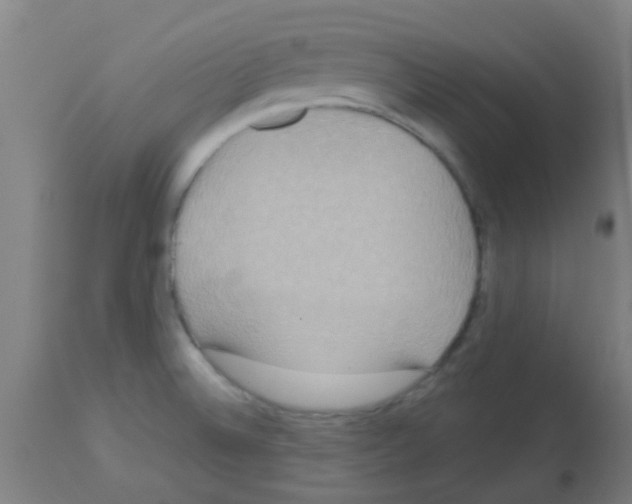 X0000113181524200910161319