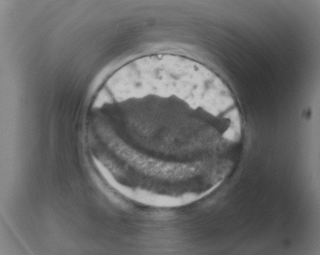 X0000113181525200910161319