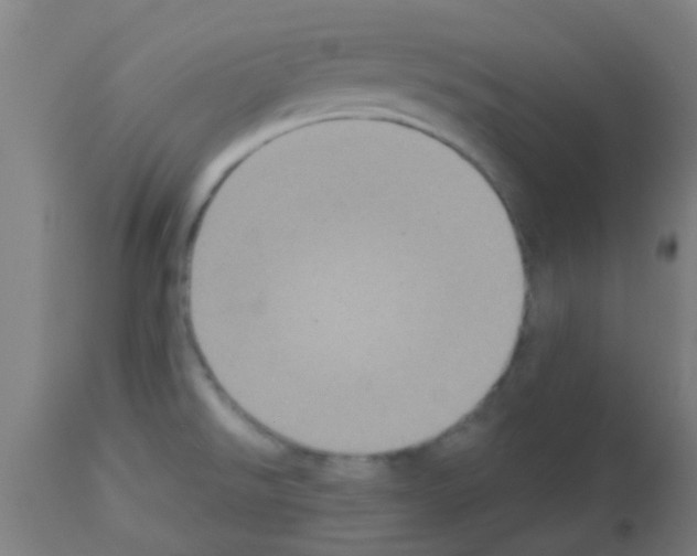 X0000113181526200910161319