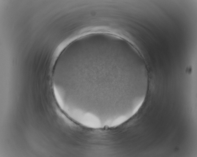 X0000113181527200910161319