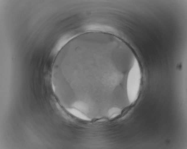 X0000113181529200910161319
