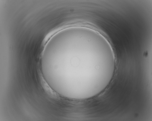 X0000113181530200910161320