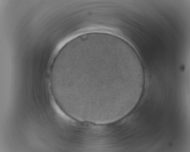 X0000113181531200910161320