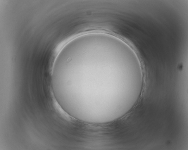 X0000113181532200910161320