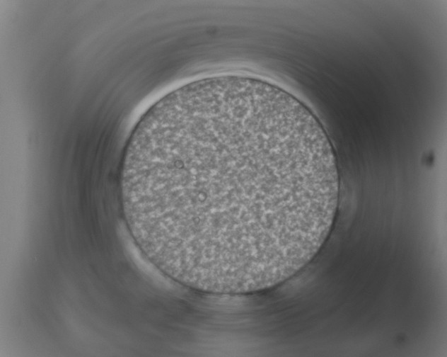 X0000113181534200910161320