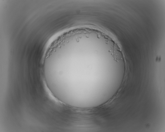X0000113181536200910161320
