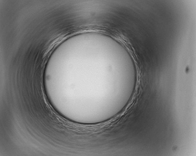 X0000113200001200909100933