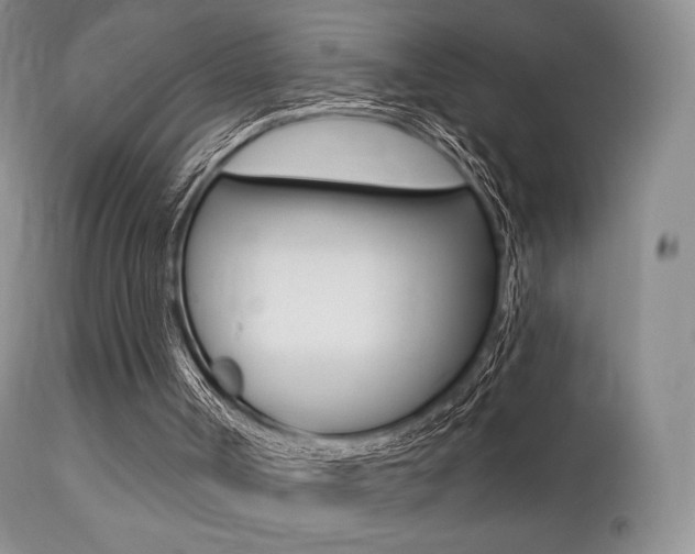 X0000113200002200909100933