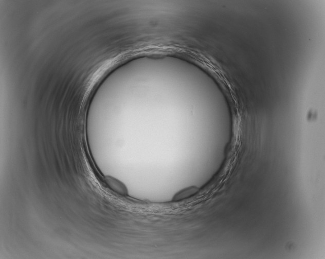 X0000113200003200909100933