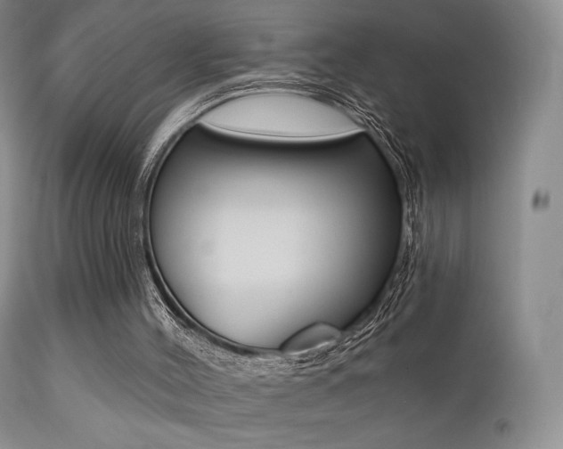 X0000113200004200909100933