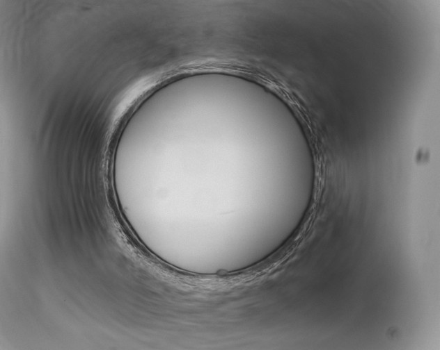 X0000113200006200909100933