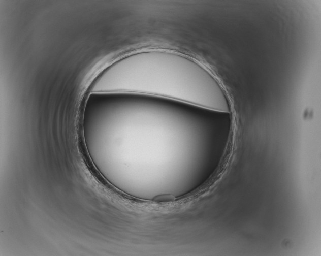 X0000113200007200909100933