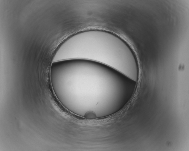 X0000113200009200909100933