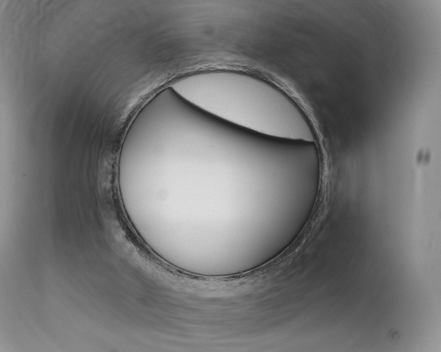 X0000113200010200909100933