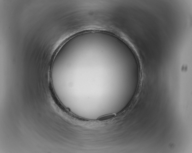 X0000113200011200909100933