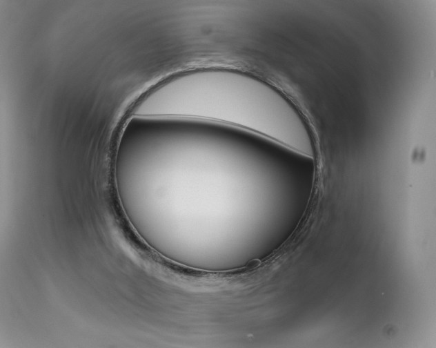 X0000113200012200909100933