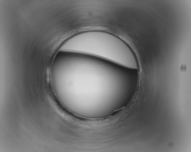 X0000113200013200909100933