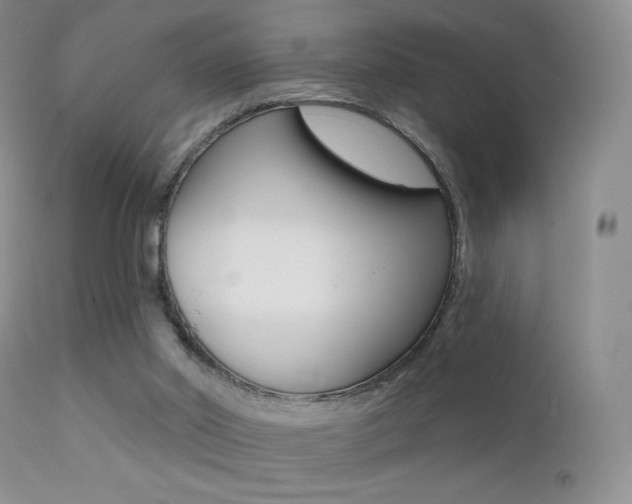 X0000113200014200909100933