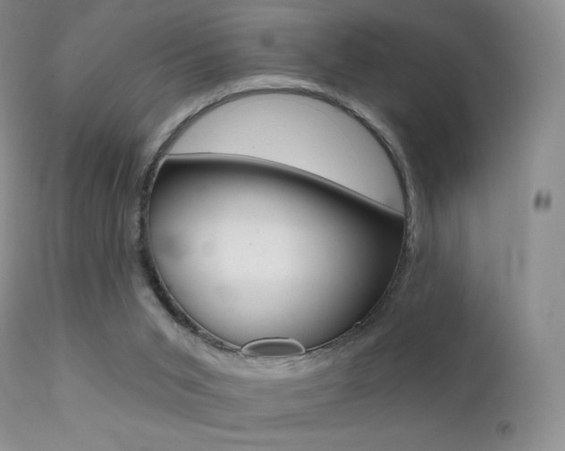 X0000113200015200909100933