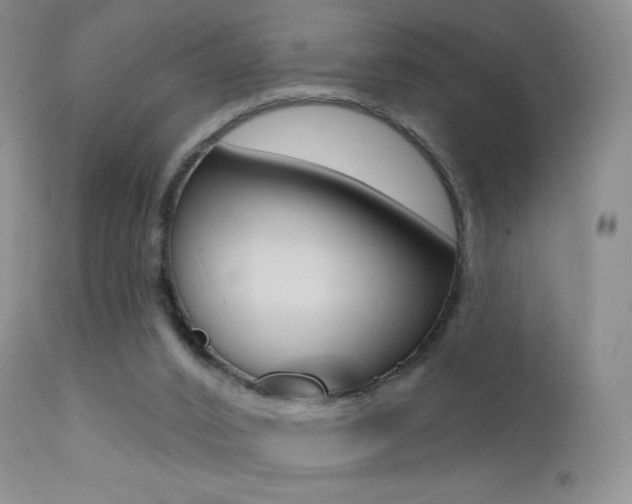 X0000113200016200909100933