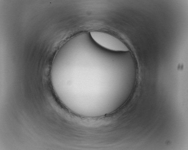 X0000113200018200909100933