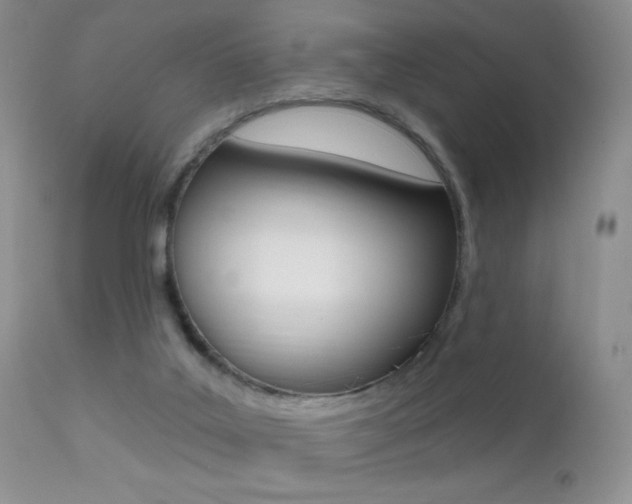 X0000113200019200909100933