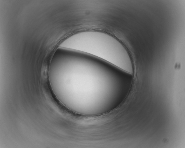 X0000113200021200909100933