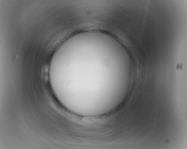 X0000113200022200909100933