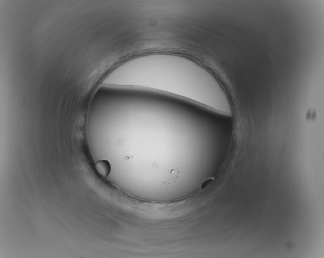 X0000113200023200909100933