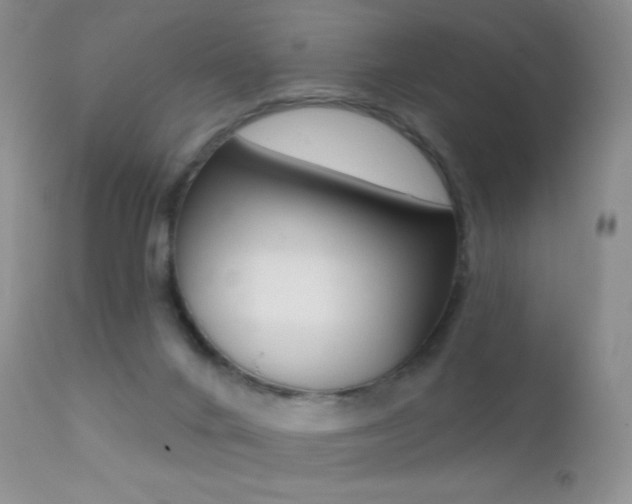 X0000113200024200909100933