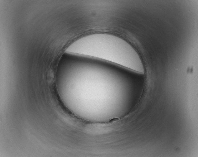 X0000113200025200909100933