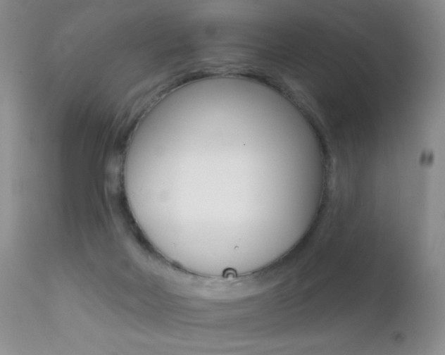 X0000113200026200909100933