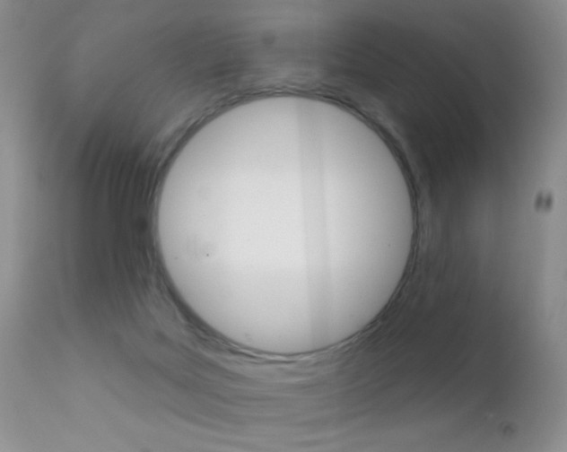 X0000113200027200909100933