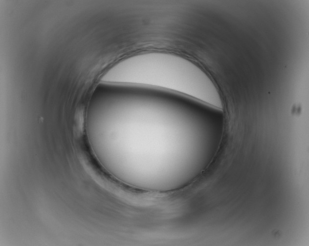 X0000113200028200909100933