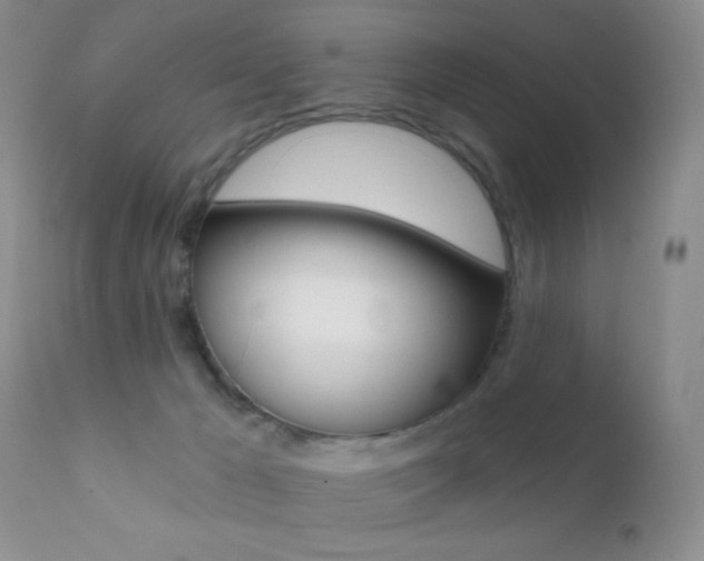 X0000113200029200909100933