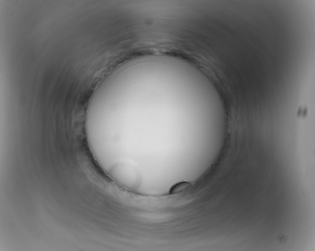 X0000113200030200909100932