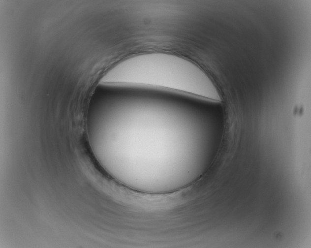 X0000113200031200909100932