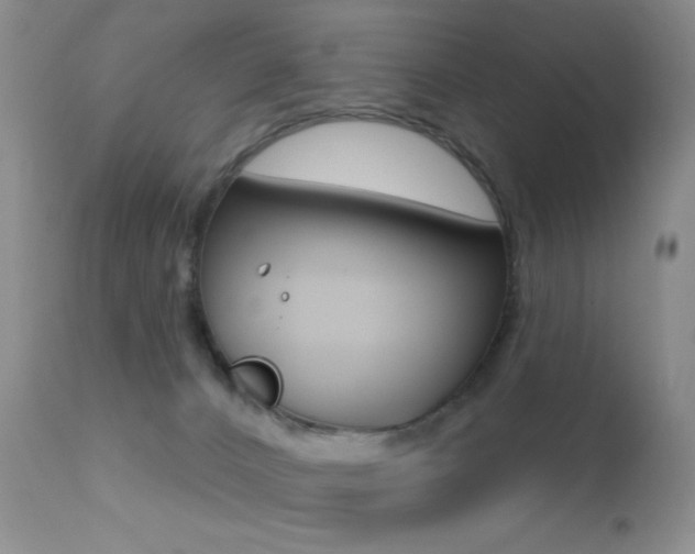 X0000113200032200909100932