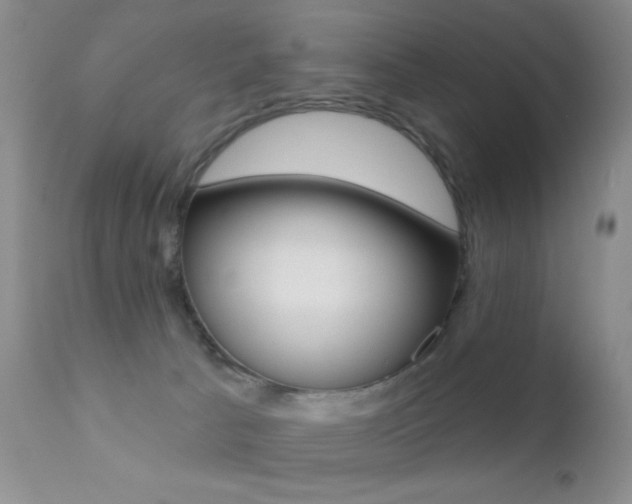 X0000113200033200909100932