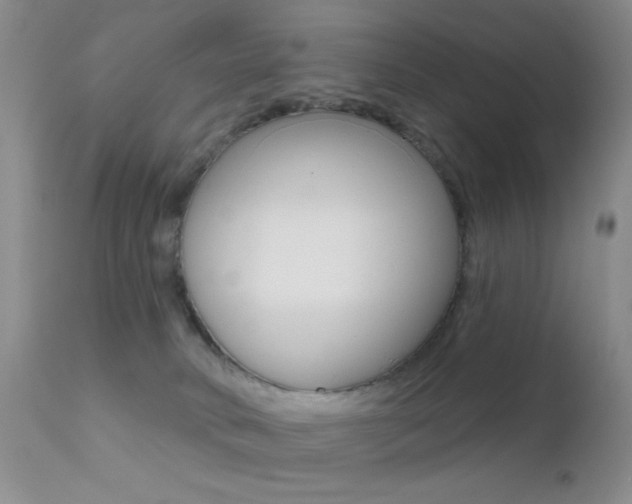 X0000113200034200909100932