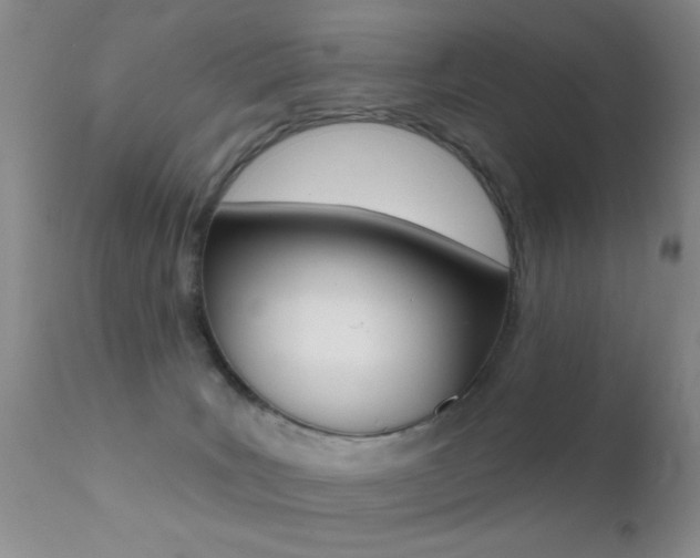 X0000113200035200909100932