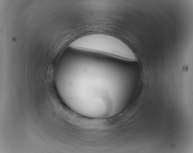 X0000113200036200909100932