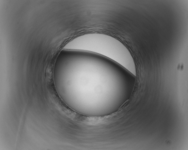 X0000113200037200909100932