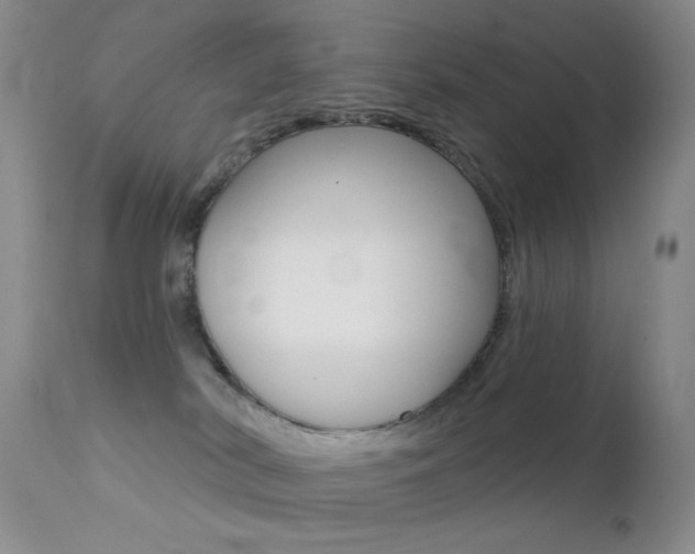 X0000113200038200909100932