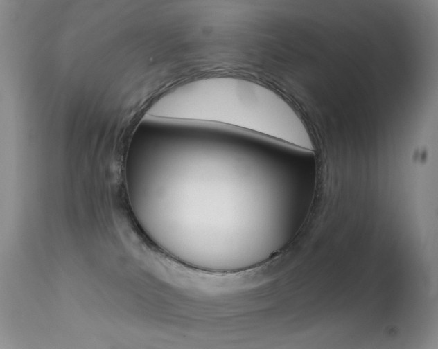 X0000113200039200909100932